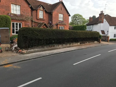 Before: Brick boundary wall and hedge in front of residential buildings.